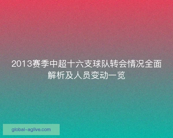 2013赛季中超十六支球队转会情况全面解析及人员变动一览 2013赛季中超十六支球队转会情况全面解析及人员变动一览