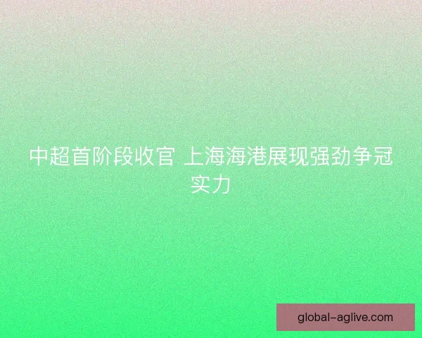 中超首阶段收官 上海海港展现强劲争冠实力 中超首阶段收官 上海海港展现强劲争冠实力