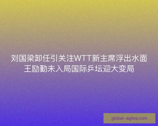 刘国梁卸任引关注WTT新主席浮出水面王励勤未入局国际乒坛迎大变局