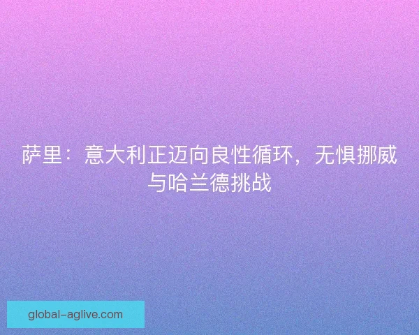 萨里:意大利正迈向良性循环,无惧挪威与哈兰德挑战 萨里:意大利正迈向良性循环,无惧挪威与哈兰德挑战