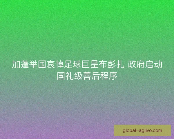 加蓬举国哀悼足球巨星布彭扎 政府启动国礼级善后程序