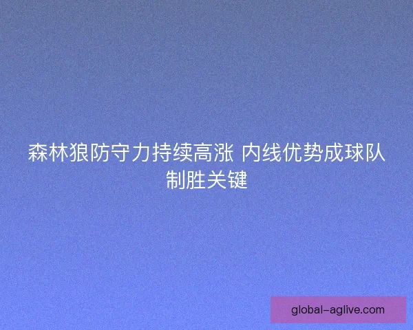 森林狼防守力持续高涨 内线优势成球队制胜关键