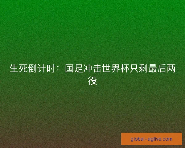 生死倒计时：国足冲击世界杯只剩最后两役