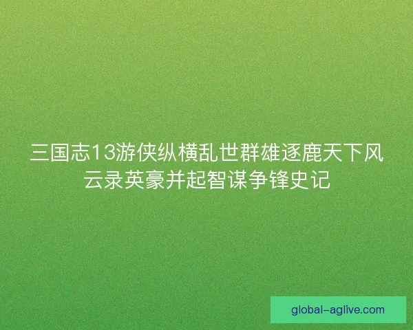 三国志13游侠纵横乱世群雄逐鹿天下风云录英豪并起智谋争锋史记 三国志13游侠纵横乱世群雄逐鹿天下风云录英豪并起智谋争锋史记